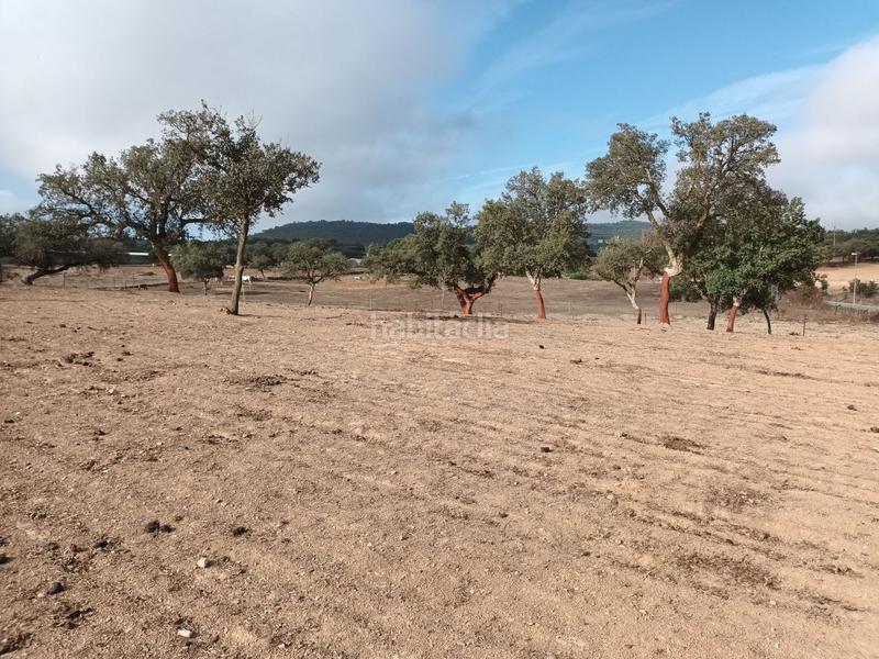 Foto e73c68ac-d37d-4dfe-803f-baa4a8d0d921. Terreny residencial a Codosera (La)