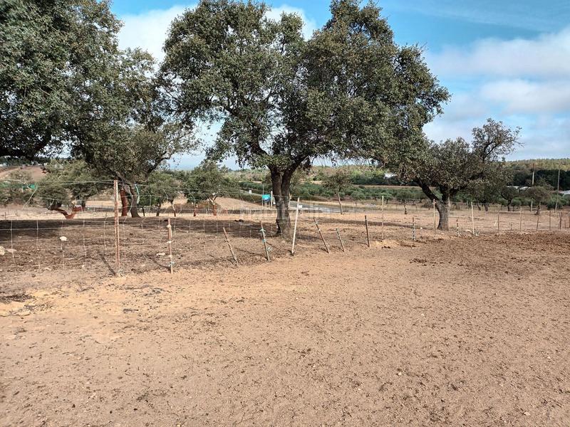 Foto f81a9f53-33a7-4e27-91a3-fed407922753. Terreny residencial a Codosera (La)