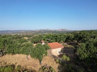 Rural plot  Camino de villavieja. Finca con vistas en san vicente de alcantara