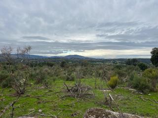 Terreno residenziale in Valencia de Alcántara