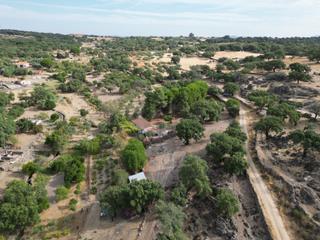 Masia  Los castaños. Tu refugio en el campo 7 ha con vivienda y agua abundante