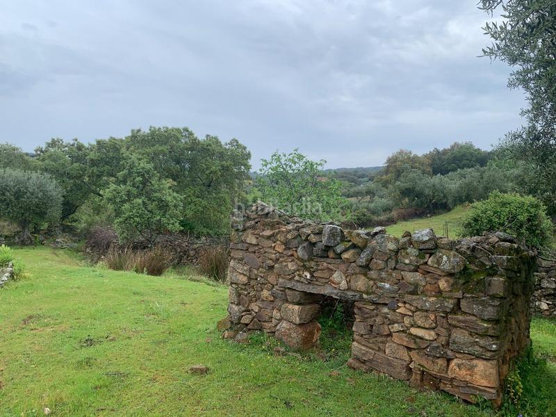 Foto 11212f6f-86de-415d-bae5-2559c5f356c9. Finca rústica a el madroñal a San Vicente de Alcántara