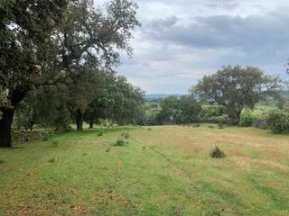 Finca rústica en El madroñal