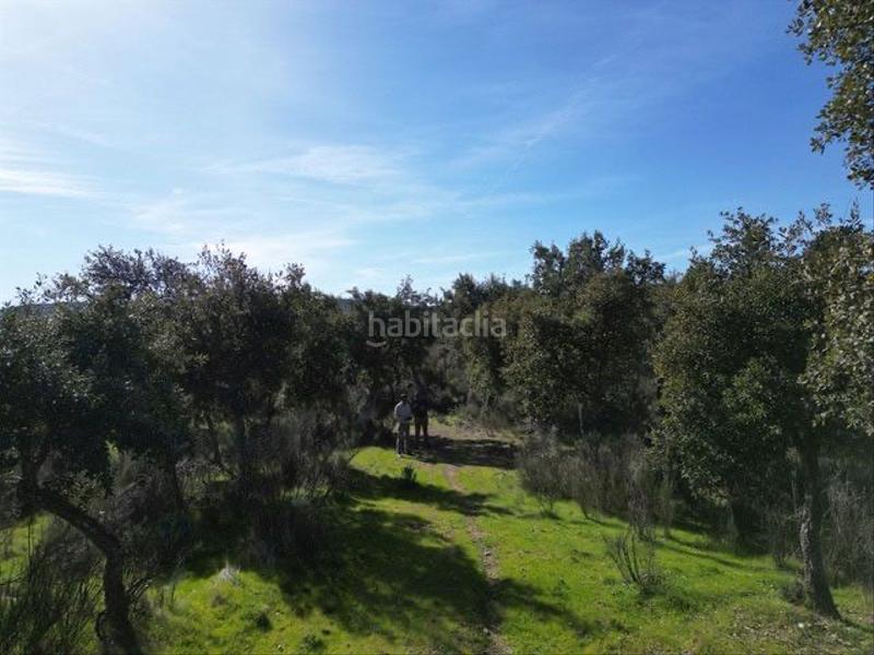 Foto 139f962f-352b-4c47-95bc-8f9e8a946e9a. Fondo rustico in . in Valencia de Alcántara