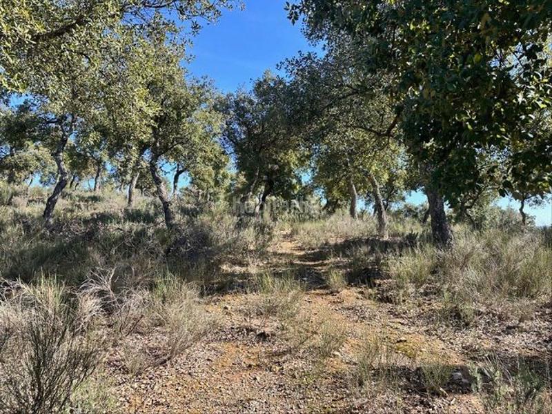 Foto 291a0118-1821-463d-86af-090c0a5cb1ce. Fondo rustico in . in Valencia de Alcántara