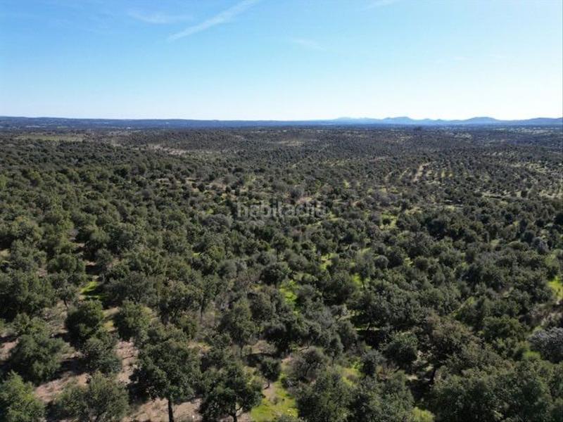 Foto a934bc07-ba9b-45c4-b397-d4588b4cbe09. Fondo rustico in . in Valencia de Alcántara