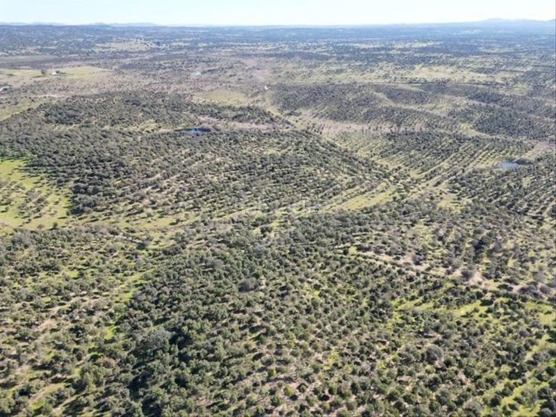 Foto ae260a5f-8bdd-4008-bc2f-d51a6abf9bf2. Fondo rustico in . in Valencia de Alcántara