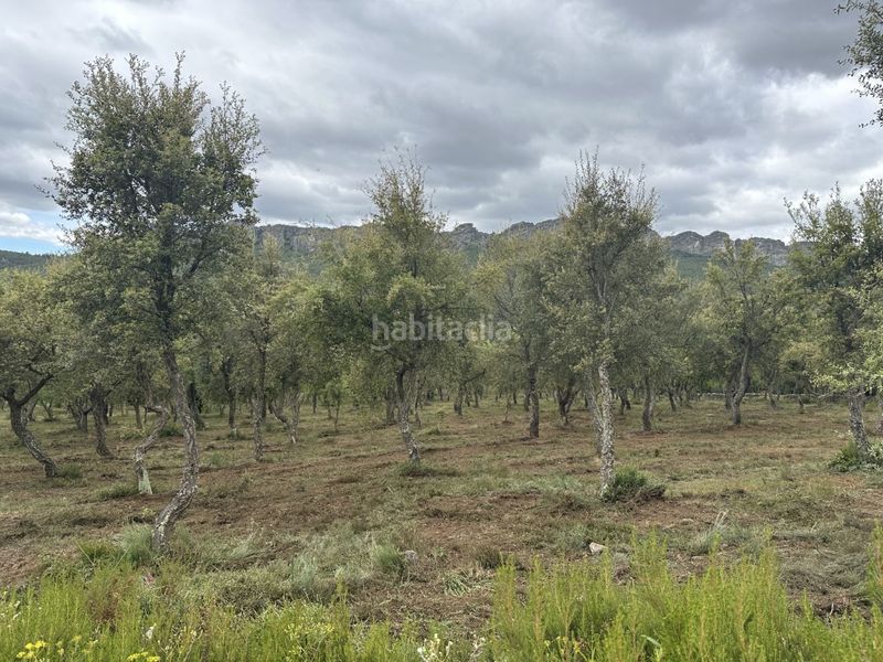 Foto a25865ce-4452-4e02-9da9-0481662cf719. Masia a Valencia de Alcántara