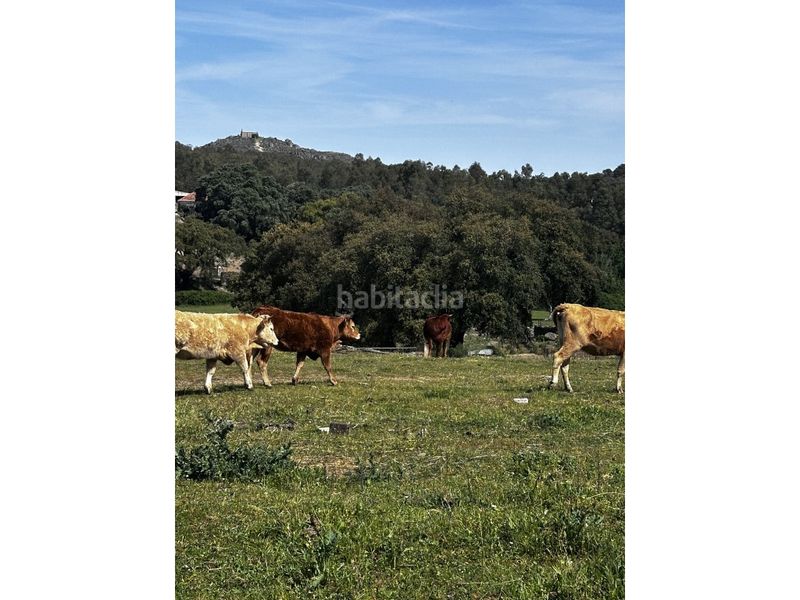 Foto 43e486a5-9a12-49a0-8ba9-fdfa0e0f24d9. Masia a Valencia de Alcántara