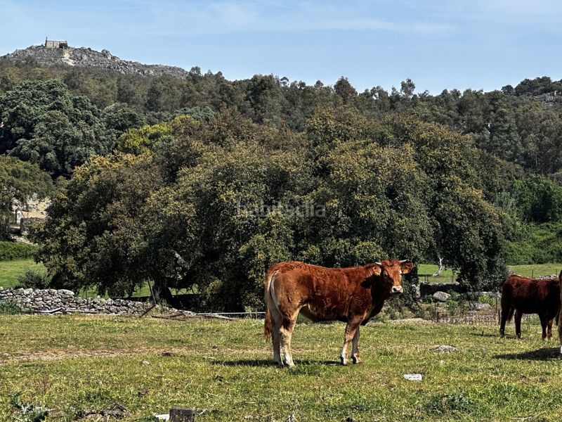 Foto e7a59f4f-4a74-4396-a162-c688ca24edfd. Masia a Valencia de Alcántara