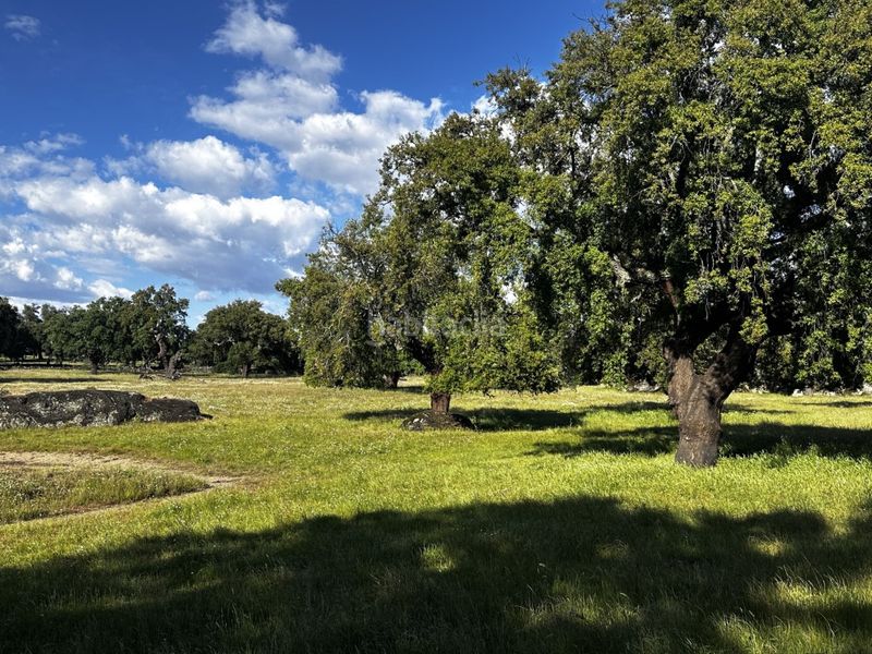 Foto 51322ad2-b229-46cd-b61a-4d3e641f5913. Masia a Valencia de Alcántara