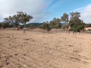 Finca rústica en Vía 0