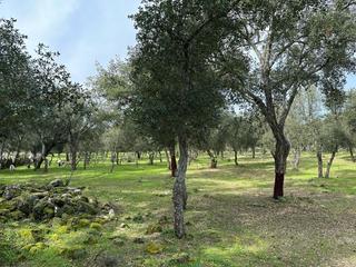 Rural plot in Vía 0