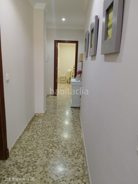 Foto f8c4aca1-ac38-4c93-96c7-d069c0ed3bbb. Pis a Centro-San Felipe-Huerta Fava Línea de la Concepción (La)