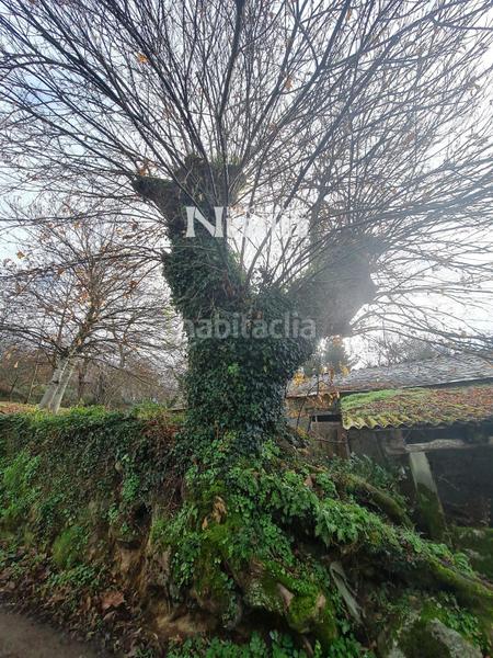 Foto 0260076b-a7ed-4ac8-91f5-7cf1083ea6c3. Casa in Castroverde