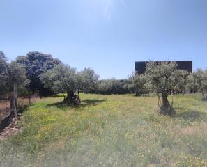 Terrain résidentiel à Calle muñoz torrero 41. Solar en venta