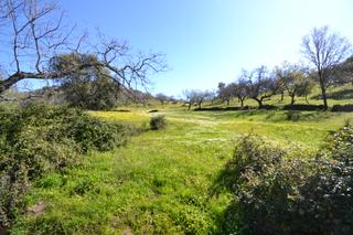 Propriété à N/a. Finca en venta en malpartida de plasencia