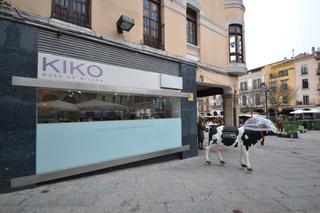 Alquiler Local Comercial  Plaza mayor. Alquiler de local en plaza mayor