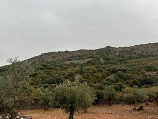Propriété à Cabeza del Buey. Finca en venta de cabeza de buey