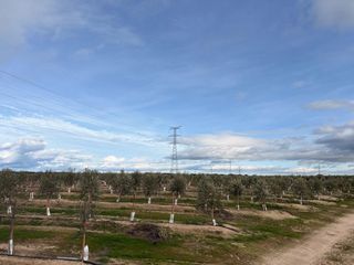Finca rústica a Navalmoral de la Mata. Finca de secano y regadío, con olivar, en navalmoral de la mata