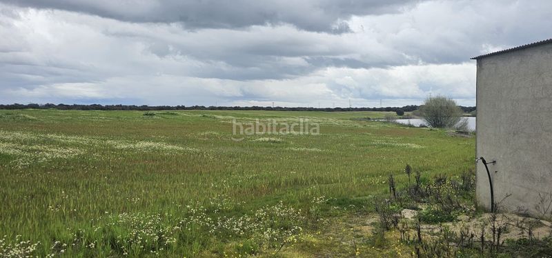 Foto a15a4aa3-c0e2-4720-9b86-81f45c6cc5ad. Finca rústica a Navalmoral de la Mata