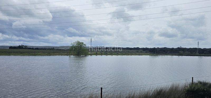 Foto a5bd6ac4-3610-4177-912f-5068c92b4550. Finca rústica a Navalmoral de la Mata