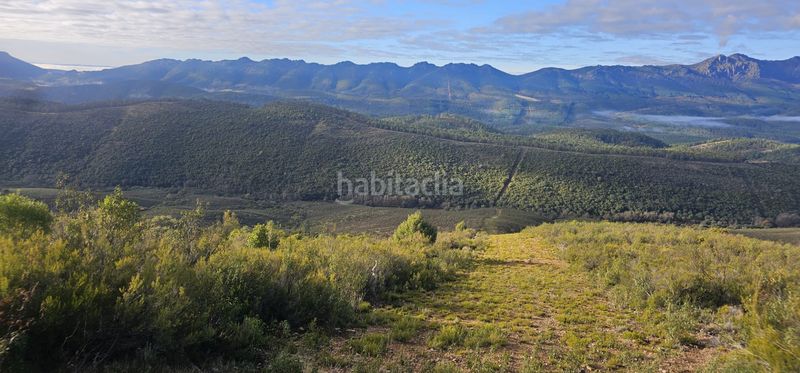 Foto 01b9c8ed-694e-475f-bb15-df09ba619576. Finca rústica a Alía
