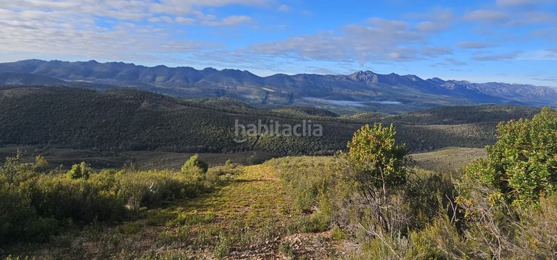 Foto 41f26e5f-8165-4776-a22c-162e78bac4f5. Finca rústica a Alía
