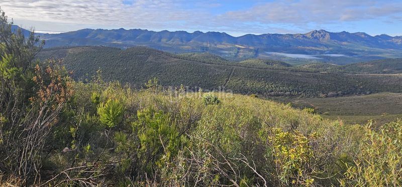 Foto a0bf5577-9828-484b-839f-b95e30026be8. Finca rústica a Alía