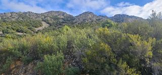 Fondo rustico in Alía. Finca de caza y recreo en alía