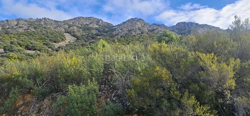 Foto ab96e7d4-ab62-4828-9476-176d92b7c2da. Finca rústica a Alía