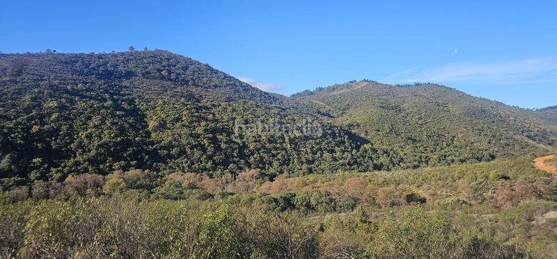 Foto b1899868-a188-468d-9b0f-b221e5986c10. Finca rústica a Alía