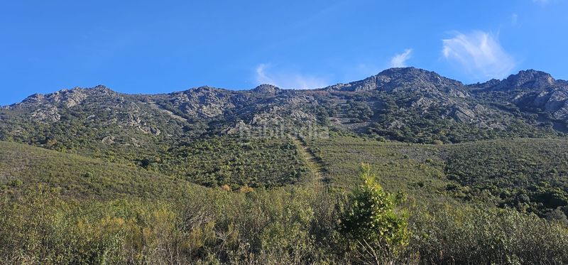 Foto c7d2f1ce-1a38-434f-9715-0ef2f42812b6. Finca rústica a Alía