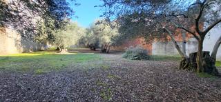 Terrain résidentiel  Plaza san gregorio. Solar en venta zona centro