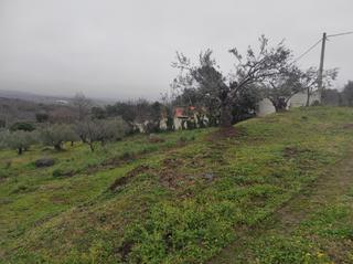 Propriété à Calle virgen puerto 20. Parcela en venta en plasencia