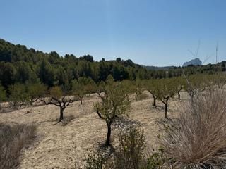 Wohngrundstück in Benissa Pueblo