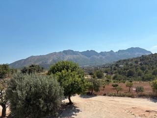 Lloguer Apartament a Benissa Pueblo