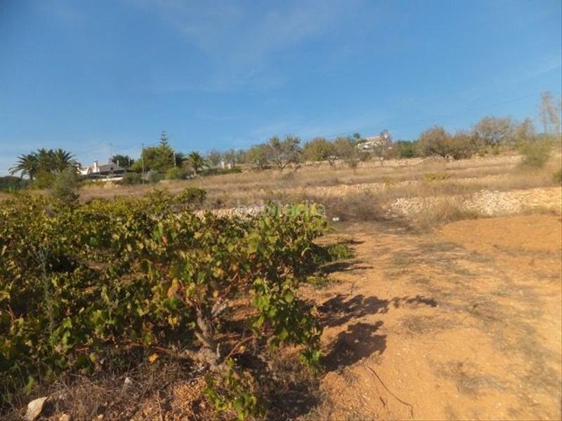 Foto 3f1831de-bf3b-4942-8f19-54298b21ad7a. Rural plot in Teulada