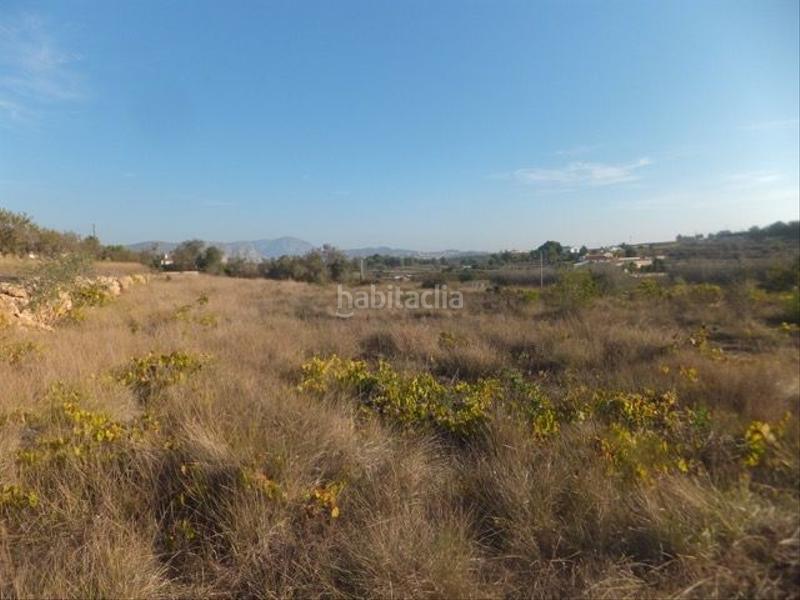 Foto 44ffeed5-77b0-4c20-a16e-d63afc93e93a. Rural plot in Teulada