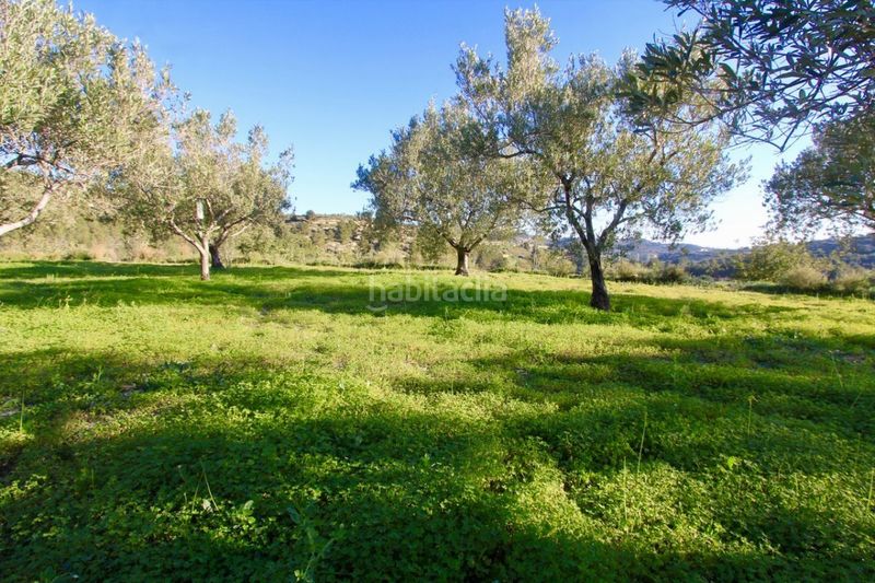 Foto 455574de-af94-4598-913c-93850487c34f. Finca rústica a Benissa pueblo Benissa