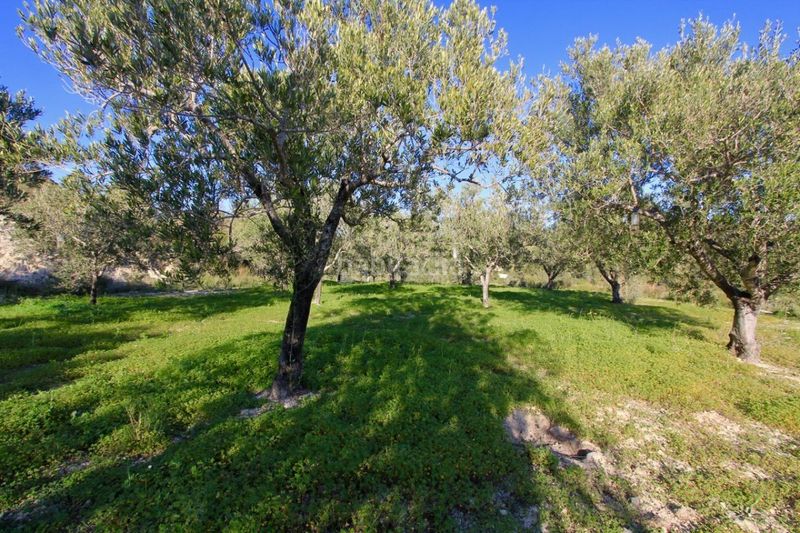 Foto a2245749-6d28-4ee4-8314-bbfb12650840. Finca rústica a Benissa pueblo Benissa