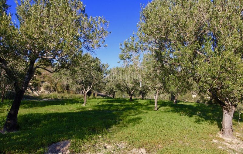 Foto d6ec4dfc-eaa1-4f15-8a8e-471967bb47b1. Finca rústica a Benissa pueblo Benissa