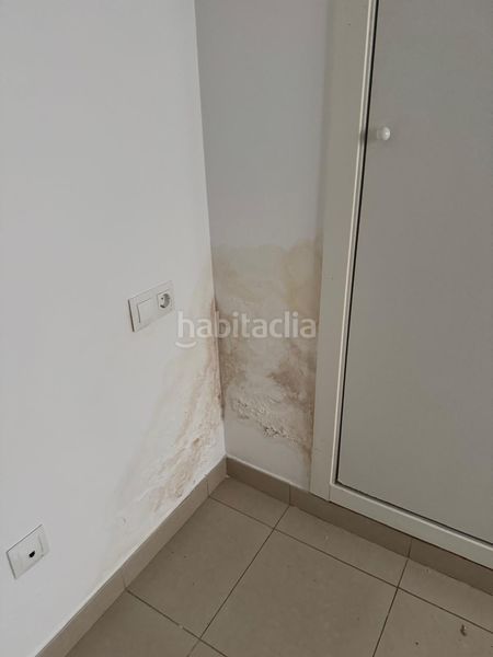 Foto f9f7d14d-8fad-4211-82bd-4e12ac10a189. Pis a Ondara