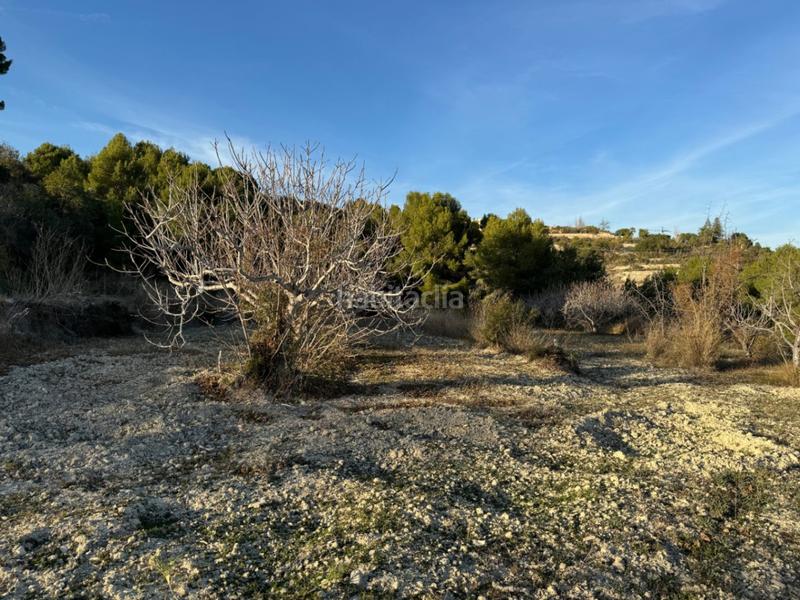 Foto 2c5dd659-59ac-429c-8bcc-bde05e2727e9. Rural plot in Benissa pueblo Benissa