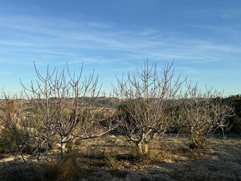 Foto 32adf68d-0081-49b2-81ad-c4520f8e5862. Rural plot in Benissa pueblo Benissa