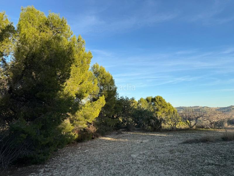 Foto 38c0bfaa-83f6-4083-95d9-5e1da6f1fef5. Rural plot in Benissa pueblo Benissa