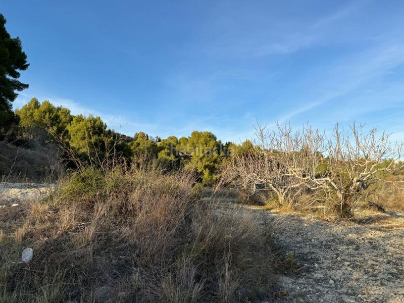 Foto dc60e771-82e9-4c78-ad7b-236eebd83f91. Rural plot in Benissa pueblo Benissa