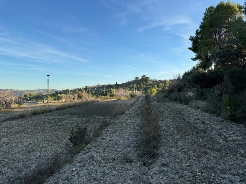 Foto e528054b-e211-4891-bec7-4f7804c6169b. Rural plot in Benissa pueblo Benissa