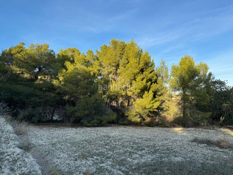 Foto eb165648-8315-40a1-9234-4ef24b05ced5. Rural plot in Benissa pueblo Benissa