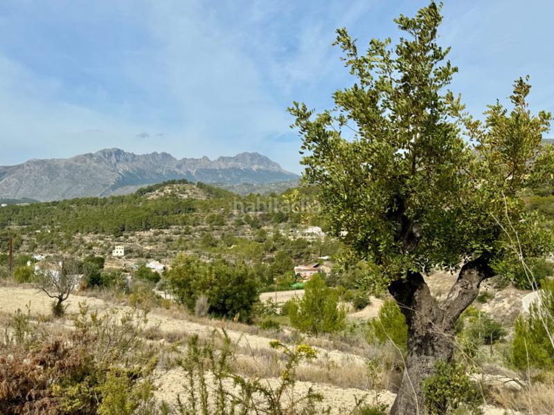 Foto 0fb73722-96c0-426b-bc99-26d135356987. Residential plot in Benissa pueblo Benissa